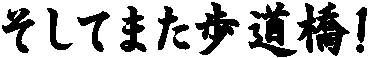 �����Ă܂��������I
